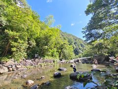 -石台牯牛降景区