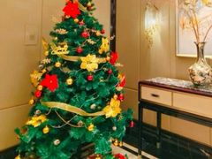-Yan Ting宴庭中餐厅-长沙瑞吉酒店(运达店)