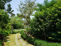 -仙岳公园