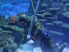 -海合安武汉极地海洋公园