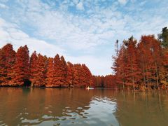 -上海海湾国家森林公园