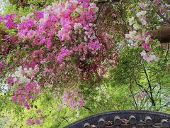 -深圳国际园林花卉博览园