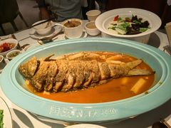 -阿五黄河大鲤鱼(英协路店)