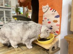 -小时光咖啡馆(北锣鼓巷店)
