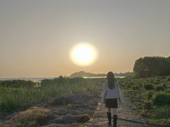 -苏州太湖国家湿地公园