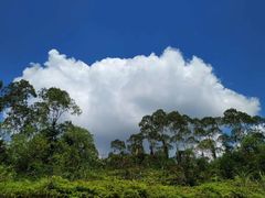 -那琴半岛地质海洋公园