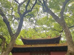 -普陀山风景名胜区-法雨禅寺