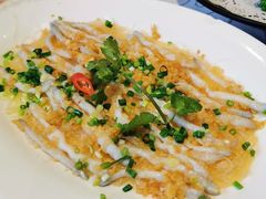 蒜蓉粉丝蒸沙虫-香山家宴