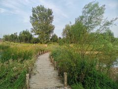 -淇河国家湿地公园