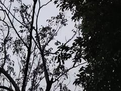 -眉山湿地公园(东坡区)