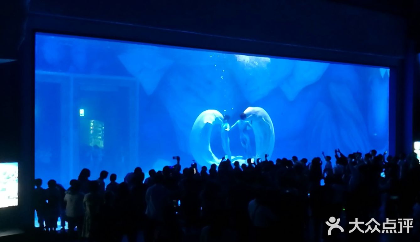 魔都夏日去哪里 | 海昌海洋公园避暑溜娃两不误