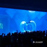 魔都夏日去哪里 | 海昌海洋公园避暑溜娃两不误