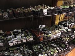 -密讯馆密室逃脱&换装侦探剧(环球港旗舰店)