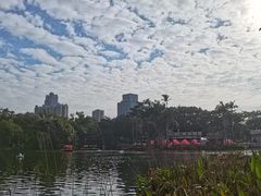 -荔湾湖公园
