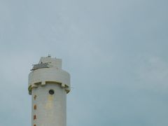-枸杞岛