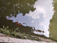 -绮园景区