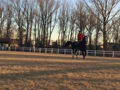 -月河湾马术俱乐部(朝阳店)