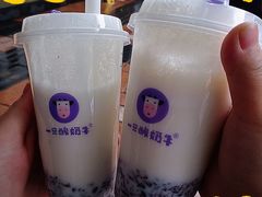 -一只酸奶牛(八一路店)