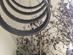-桉树林A coffee 森林餐厅(三圣乡店)