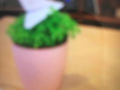 -斯比特花园西餐厅(东方商厦店)