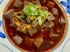 -后卫寨猫耳朵(后卫寨店)