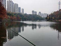 -重庆彩云湖湿地公园
