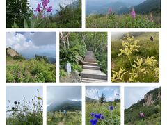 -白草畔自然风景区