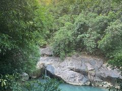 -广州白江湖森林公园