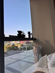 -爱小熊轻医美