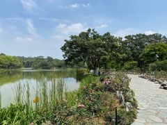 -东莞植物园