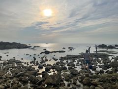 -养马岛旅游度假区