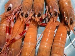 -蓝珊甄选海鲜自助·火锅大排档(近阿那亚店)