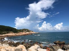 -广东惠东海龟国家级自然保护区
