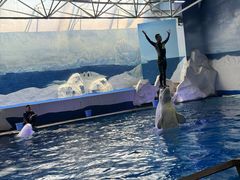 -秦皇岛乐岛海洋王国