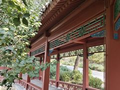 -北坞公园