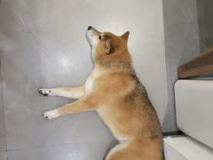 -NOTBAD 须时·咖啡馆