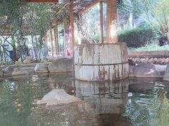 -大理地热国