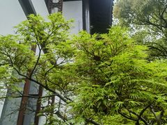 -上海醉白池公园