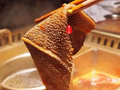 脆毛肚-九鼎轩脆毛肚火锅(三钢里店)