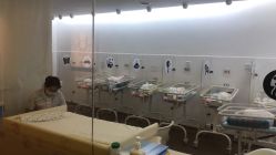 -海豚湾高端月子会所(黄浦店)