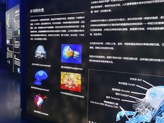 -石家庄海洋公园