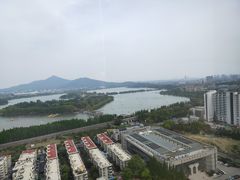 -湖景知味西餐厅•自助餐• 轻食(南京金茂威斯汀大酒店)