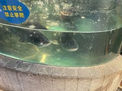 -坛宗剁椒鱼头(河西王府井店)