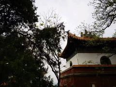 -颐和园