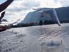 -海埂大坝