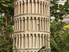 -南宫五洲植物乐园