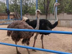 -森林公园(尖草坪区)