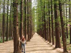 -日照世帆赛基地