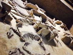 -洛阳周王城天子驾六博物馆