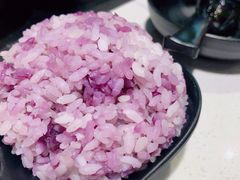 -新仙清汤牛腩(铜锣湾店)